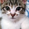 catalie96